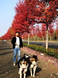 [长沙婚介所]92年 - 178- 长沙-编制内-马先生 | 长沙征婚